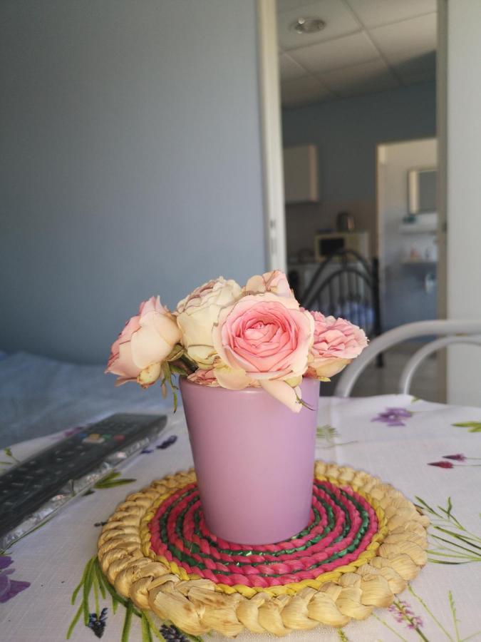 Apartmán Hodosi Apartman Veľký Meder Exteriér fotografie